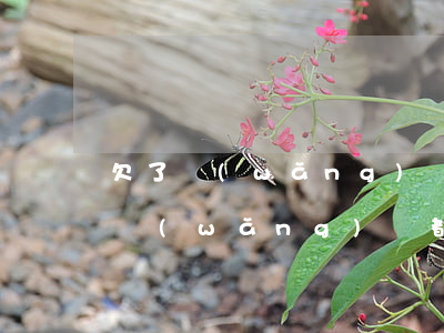 欠了網(wǎng)貸沒有還會影響征信嗎(網(wǎng)貸都還了沒有逾期,征信有影響嗎)