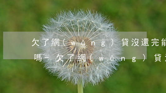 欠了網(wǎng)貸沒還完能去銀行借錢嗎-欠了網(wǎng)貸沒還完能去銀行借錢嗎知乎