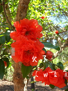欠了網(wǎng)貸沒還能買保險嗎(欠網(wǎng)貸可以買保險嗎)