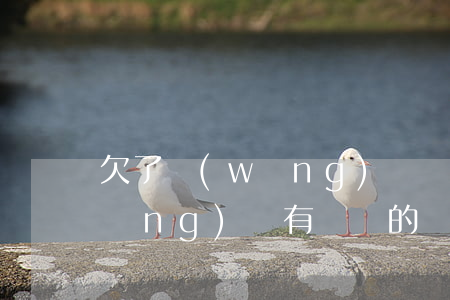 欠了網(wǎng)貸沒還還能借嗎(網(wǎng)貸有沒還的還能借嗎)