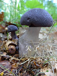 欠了網(wǎng)貸沒還還能繼續(xù)申請(qǐng)嗎(網(wǎng)貸欠款可以不還嗎)