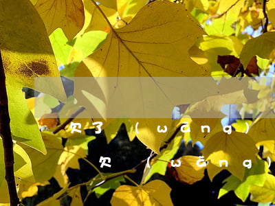 欠了網(wǎng)貸無(wú)力還怎么辦(欠網(wǎng)貸沒(méi)能力還怎么辦)