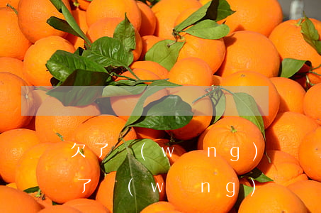 欠了網(wǎng)貸無力償還不想活了(欠了網(wǎng)貸 無力償還)