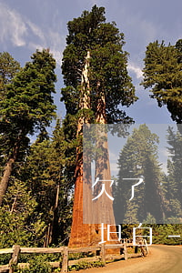 欠了網(wǎng)貸無力償還怎么跟家人坦白-欠了網(wǎng)貸無力償還怎么跟家人坦白呢