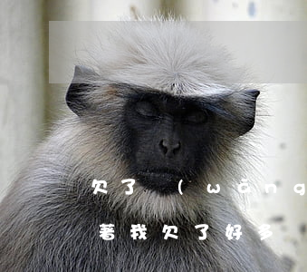 欠了網(wǎng)貸無力償還怎么辦睡不著(我欠了好多網(wǎng)貸無力償還怎么辦)