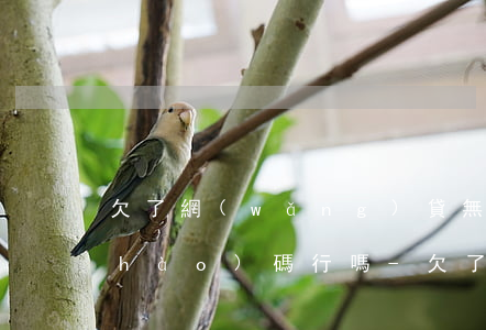 欠了網(wǎng)貸無力償還換電話號(hào)碼行嗎-欠了網(wǎng)貸不還直接換手機(jī)號(hào)可以嗎
