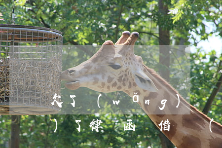 欠了網(wǎng)貸無力償還說發(fā)了律師函(沒借過網(wǎng)貸卻說我欠錢,發(fā)來律師函)