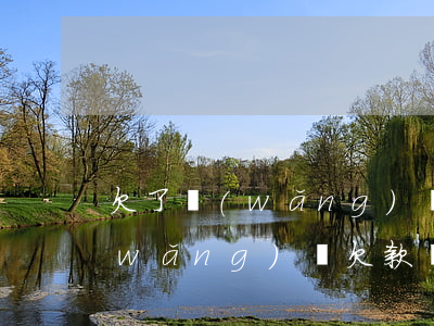欠了網(wǎng)貸無力償還離婚了(網(wǎng)貸欠款無力償還怎么辦)
