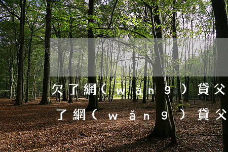 欠了網(wǎng)貸父母不幫還怎么辦(欠了網(wǎng)貸父母不幫還怎么辦)