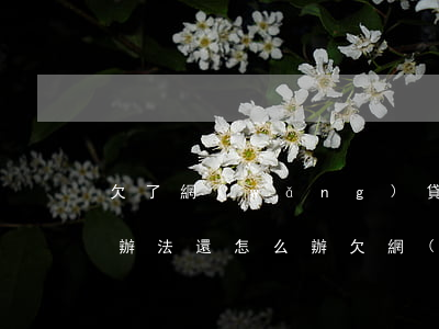 欠了網(wǎng)貸現(xiàn)在沒辦法還怎么辦(欠網(wǎng)貸確實(shí)還不了了怎么辦)