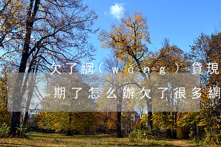 欠了網(wǎng)貸現(xiàn)在逾期了怎么辦(欠了很多網(wǎng)貸逾期了怎么辦?)