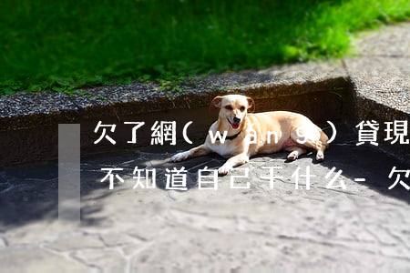 欠了網(wǎng)貸現(xiàn)在還不知道自己干什么-欠了網(wǎng)貸現(xiàn)在還不知道自己干什么了