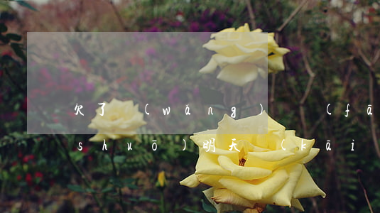 欠了網(wǎng)貸發(fā)信息說(shuō)明天開(kāi)庭(網(wǎng)貸給我發(fā)信息說(shuō)要開(kāi)庭)