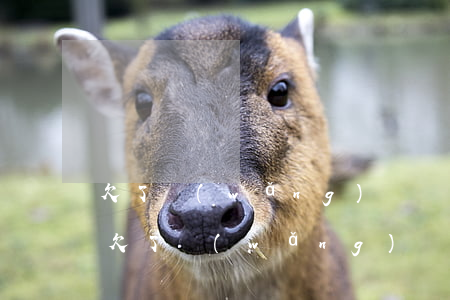 欠了網(wǎng)貸發(fā)短信立案(欠了網(wǎng)貸發(fā)短信立案)