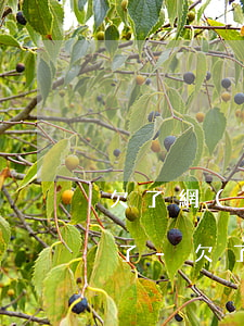 欠了網(wǎng)貸的那些人后來怎么樣了-欠了網(wǎng)貸的那些人后來怎么樣了呢