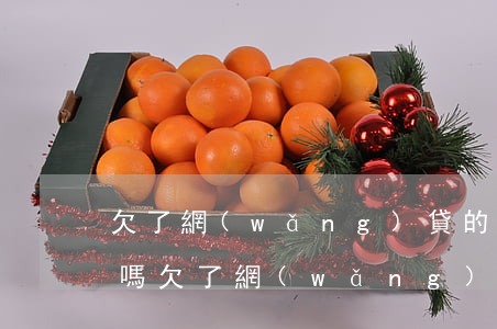 欠了網(wǎng)貸的錢被判刑錢還用還嗎(欠了網(wǎng)貸的錢被判刑錢還用還嗎)