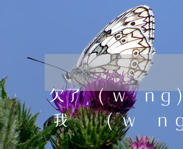 欠了網(wǎng)貸老公不幫忙還(老公幫我還網(wǎng)貸,感覺(jué)對(duì)不起他)
