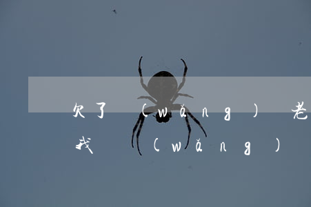 欠了網(wǎng)貸老公不幫忙還(老公幫我還網(wǎng)貸,感覺對(duì)不起他)