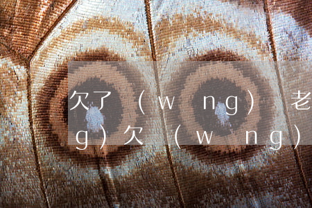欠了網(wǎng)貸老公的反應(yīng)(欠網(wǎng)貸老公會幫你還嗎)