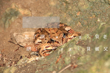 欠了網(wǎng)貸 老婆的爸媽知道了(欠網(wǎng)貸被父母知道了)