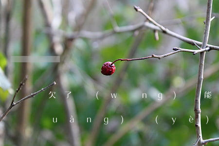 欠了網(wǎng)貸能在銀行辦創(chuàng)業(yè)貸款嗎-欠了網(wǎng)貸能在銀行辦創(chuàng)業(yè)貸款嗎知乎