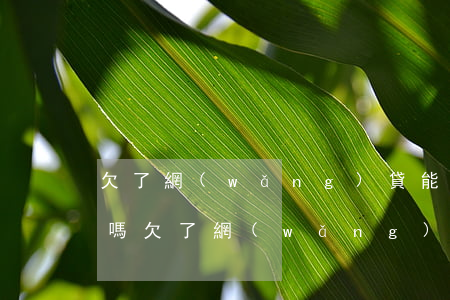 欠了網(wǎng)貸能考事業(yè)編嗎(欠了網(wǎng)貸能考事業(yè)編嗎知乎)