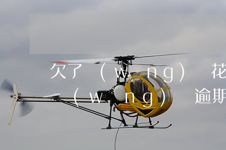 欠了網(wǎng)貸花唄借唄還可以用嗎(網(wǎng)貸逾期支付寶花唄借唄還能用嗎?)