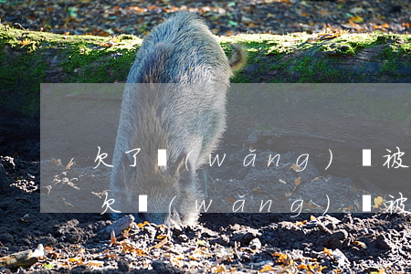 欠了網(wǎng)貸被爆通訊錄了怎么辦(欠網(wǎng)貸被爆通訊錄之后怎么辦)