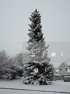 欠了網(wǎng)貸要不要告訴媳婦(欠了網(wǎng)貸要不要告訴老公)
