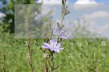 欠了網(wǎng)貸要怎么和家人說嗎(怎么給家人說欠了網(wǎng)貸)