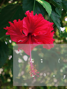 欠了網(wǎng)貸要怎么還清(欠了網(wǎng)貸要怎么還清)