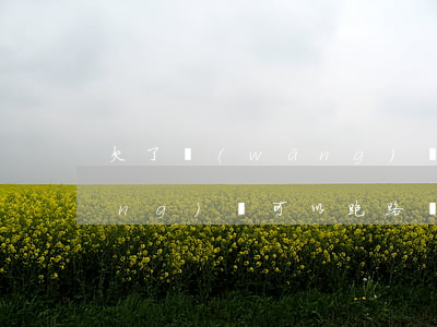 欠了網(wǎng)貸要跑路了(欠網(wǎng)貸可以跑路嗎)