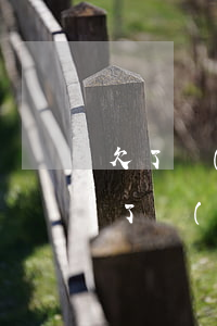 欠了網(wǎng)貸該和家里人坦白嗎(欠了網(wǎng)貸該不該跟家人坦白)