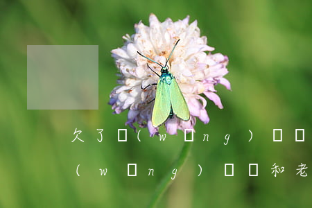 欠了網(wǎng)貸該和老公說嗎(欠了網(wǎng)貸該和老公說嗎)