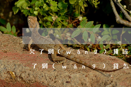 欠了網(wǎng)貸該怎么和家里人說(欠了網(wǎng)貸怎樣跟家里說)