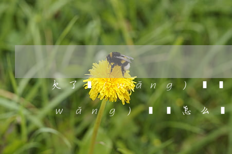欠了網(wǎng)貸該怎么買房(欠了網(wǎng)貸該怎么買房)
