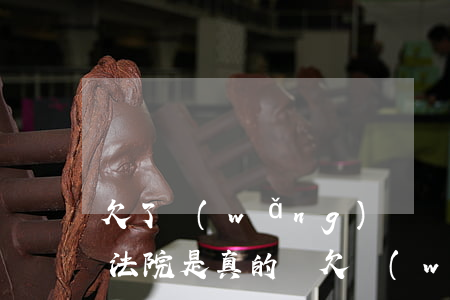 欠了網(wǎng)貸說(shuō)告到法院是真的嗎(欠網(wǎng)貸說(shuō)已經(jīng)起訴我了)