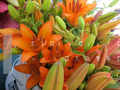 欠了網(wǎng)貸警察不管嗎(網(wǎng)貸欠款警察會(huì)上門嗎)
