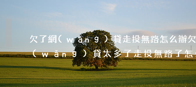 欠了網(wǎng)貸走投無路怎么辦(欠網(wǎng)貸太多了走投無路了怎么辦)
