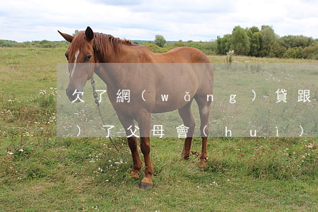 欠了網(wǎng)貸跟父母說(shuō)了父母會(huì)怎么樣-欠了網(wǎng)貸跟父母說(shuō)了父母會(huì)怎么樣呢