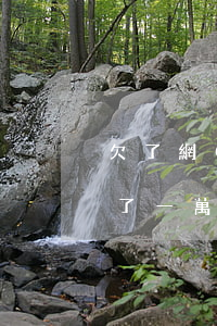 欠了網(wǎng)貸跟爸媽說只有被罵(欠了一萬多網(wǎng)貸想跟爸媽說)