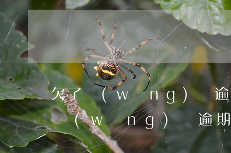 欠了網(wǎng)貸逾期了可以坐高鐵嗎(網(wǎng)貸逾期了還可以坐高鐵嗎)