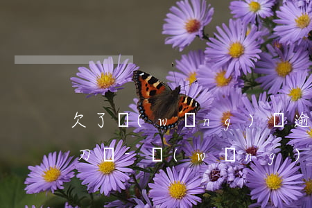 欠了網(wǎng)貸逾期了有人家里備有刀嗎-網(wǎng)貸逾期會找到家里要錢嗎