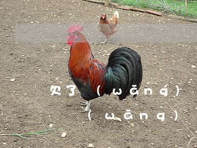 欠了網(wǎng)貸逾期了還能按揭買車嗎(網(wǎng)貸有逾期還能按揭車嗎)