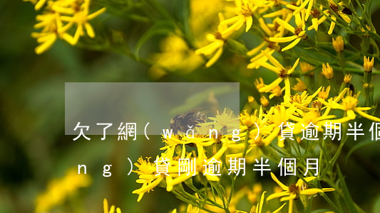 欠了網(wǎng)貸逾期半個月(網(wǎng)貸剛逾期半個月)