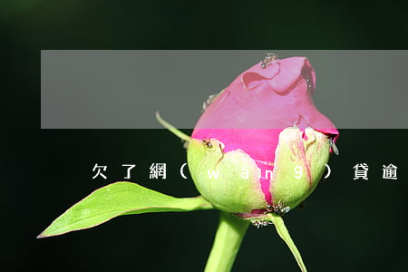 欠了網(wǎng)貸逾期怎么辦