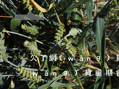 欠了網(wǎng)貸逾期能坐火車嗎(網(wǎng)貸逾期會坐不了火車嗎)