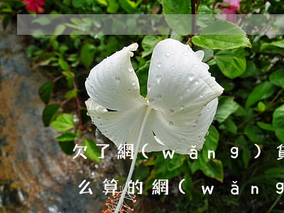 欠了網(wǎng)貸逾期費(fèi)怎么算的(網(wǎng)貸逾期了利息怎么算的)