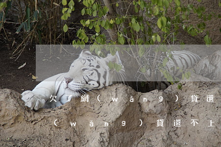欠了網(wǎng)貸還不上后果嚴重嗎(網(wǎng)貸還不上的后果)