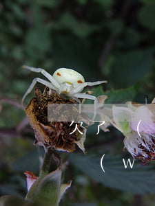 欠了網(wǎng)貸還不上如何處理(欠了網(wǎng)貸還不上不知道怎么辦)